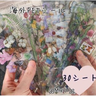 シール PETシール ボタニカル 花 花柄 植物 観葉植物 蝶々 PET素材 シールセット 素材 ジャンクジャーナル コラージュ ラッピング 海外雑貨 海外 ドライフラワー