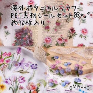 シール フレークシール ボタニカル 花 花柄 PET素材 シールセット ジャンクジャーナル 植物 素材 コラージュ ラッピング 海外雑貨 海外 ドライフラワー