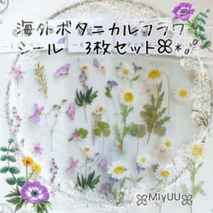 シール フレークシール ボタニカル 花 花柄 PET素材 シールセット ジャンクジャーナル 植物 素材 コラージュ ラッピング 海外雑貨 海外 ドライフラワー