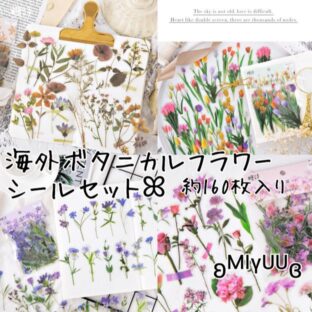 シール フレークシール ボタニカル 花 花柄 PET素材 シールセット 植物 素材 ジャンクジャーナル コラージュ ラッピング 海外雑貨 海外 ドライフラワー